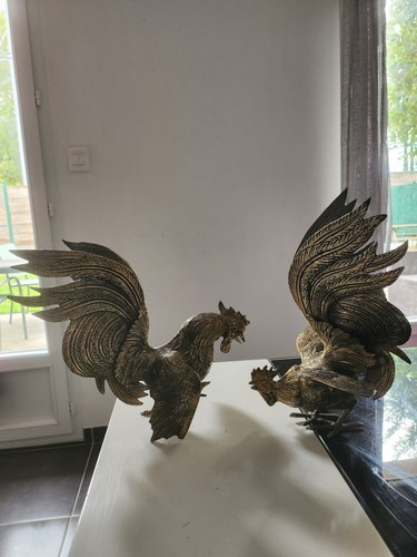 Coq combat laiton - coq, de