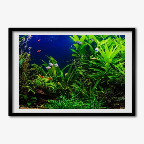 Tulup photo salon 100x70cm - tulup,
