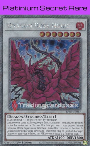 Dragon rose noire - yu-gi-oh!,