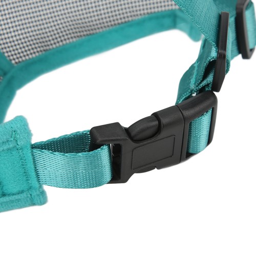 Muzzle pour chien museau - muzzle,