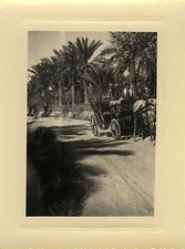 PHOTO ANCIENNE - VINTAGE SNAPSHOT - CHEVAL CALÈCHE FIACRE ATTELAGE - HORSE