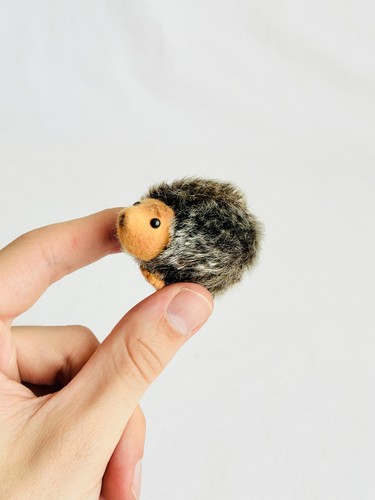 Petit hérisson miniature - , en