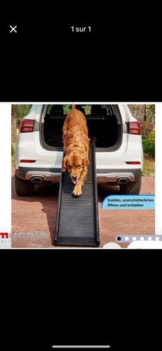 Rampe pour chien - rampe,