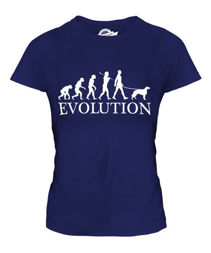 Irish setter evolution man - setter, of