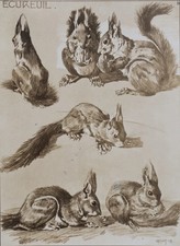 Mathurin MEHEUT : L'Écureuil