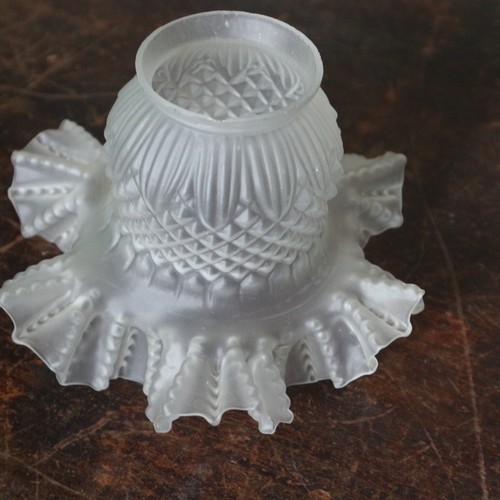 Ancienne tulipe globe - tulipe,
