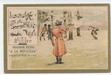 Chromo Chicorée à la