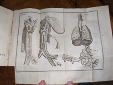 livre ancien - L'anatomie