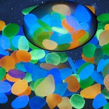 Lueur dans Le Foncé Jardin