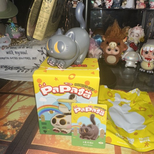 Papa doshii cat british - -,