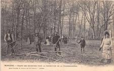 CPA 40 MORCENX COUPE DE BRANCHES POUR LA FORMATION DE LA CHARBONNIERE (cpa rare