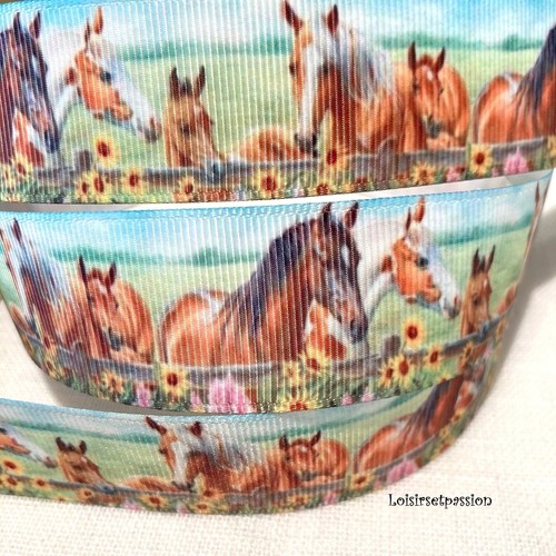 Ruban gros grain cheval - gros,