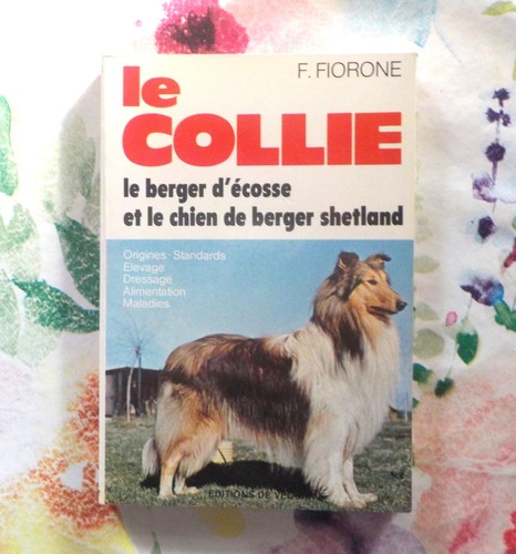 Collie berger d - le,