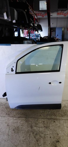 Porte avant gauche renault - gauche,