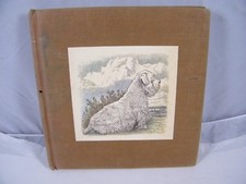 HIGGLETY PIGGLETY POP ~ THERE MUST BE MORE TO LIFE ~ FIRST EDITION 1967 ~ SENDAK