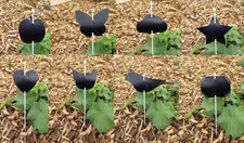 Lot de 20 étiquettes