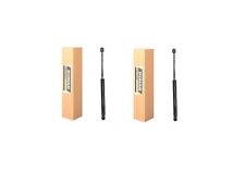 Paire Pistons Hayon Porte de