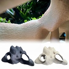 Cachette d'angle fausse racine