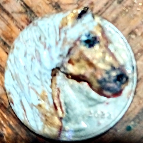Palomino quarter horse a - palomino",