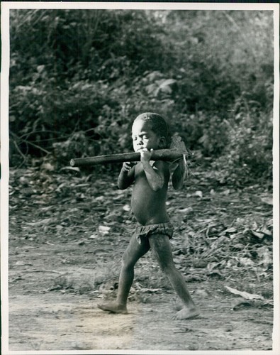 1973 angola child boy - 1973, bush