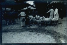 BORDEAUX PLAQUE PHOTO VERRE 15