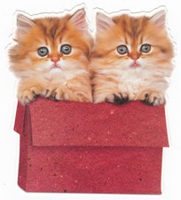 CHAT Chaton carte postale n° 18 carte avec motif découpé CHATS CHATONS