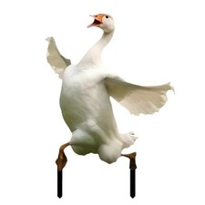 Signe en Forme D'Oie Drôle