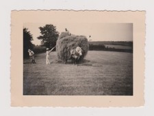 Snapshot argentique travail