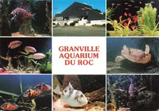 50 GRANVILLE L AQUARIUM DU ROC