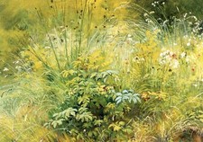 Herbage, Ivan Shishkin