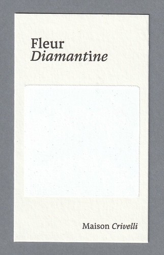 Carte publicitaire fleur - ,