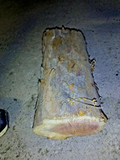  bois d’IF Tournage