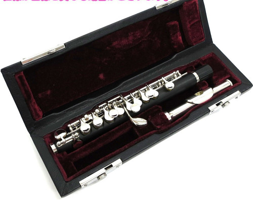 Instrument musique piccolo - de,