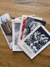 Lot De 16 Images Pieuses Carte