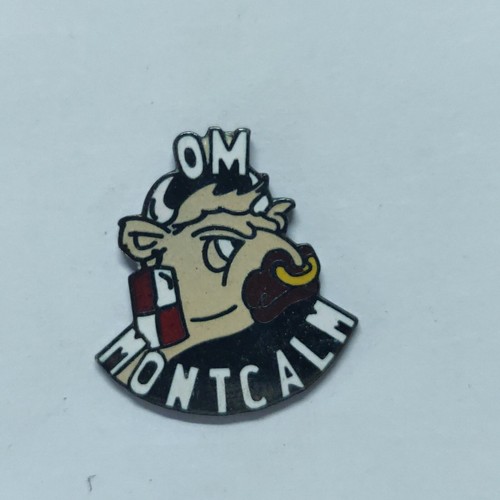 Pin pins badge - pin's,