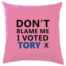 Ne Pas Blame Me I Voted Tory -
