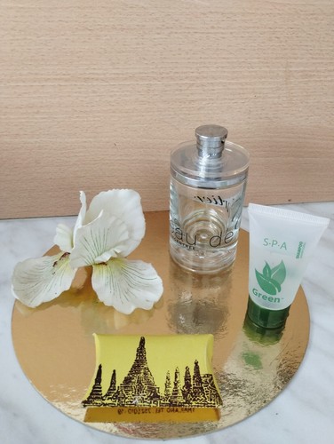 Flacon vaporisateur vide 100 - vaporisateur,