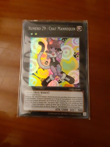 Numéro chat mannequin - 29,