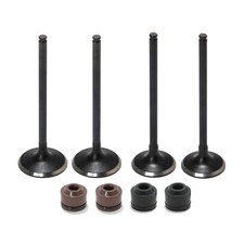 4x Soupapes d'échappement et