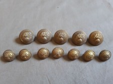 Lot de 12 boutons veste