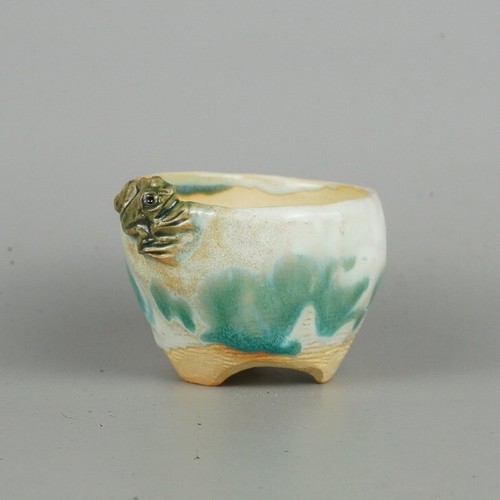 Pot bonsaï japonais - bonsaï,