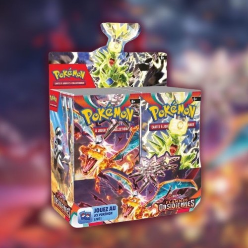 Pokémon display ev3 flammes - pokémon,