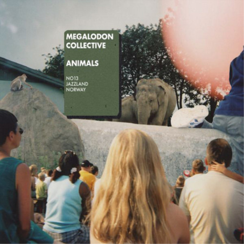 Megalodon collective animals - megalodon,