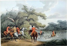 CHASSE à COURRE - LA CHASSE AU CERF: l'HALLALI- Grande planche en couleur