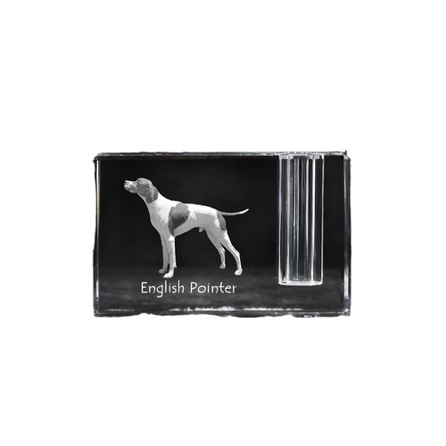 English pointer porte - english,