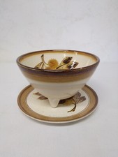 Égouttoir À Fruits Ancien En Porcelaine Schramberg Décor Châtaignes