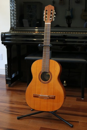 Giorgio signorina 16 - di, no.