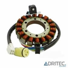 ✅ Alternateur Stator Yamaha YFM 350 R Raptor (2004-2012)