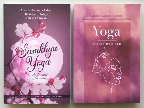 Livres ananya aananda lahari - ananya,