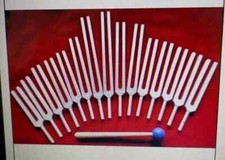 Ensemble de 15 diapasons pour